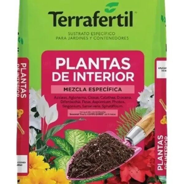 Plantas de interior x 5L