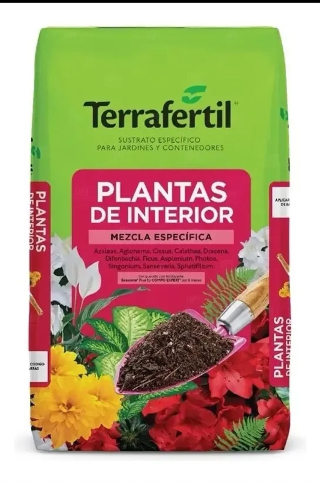 Plantas de interior x 5L